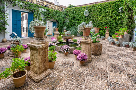 Cordoba, Spain - November 03, 2021: Courtyard garden of Viana Palace in Cordoba, Andalusia. Built in XV century. Viana Palace is a tourist attraction known for its 12 magnificent patios and gardens.のeditorial素材