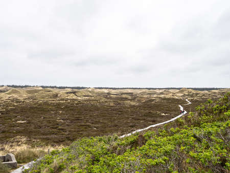 Amrum, Germany - May 29, 2021: Sand dune landscape called The Planks Way on the island of Amrum, Germany in North Friesland.のeditorial素材