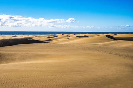 Maspalomas Sand Dunes, Dunas de Maspalomas on the south coast of the island of Gran Canaria, Canary Islands, Spainの写真素材