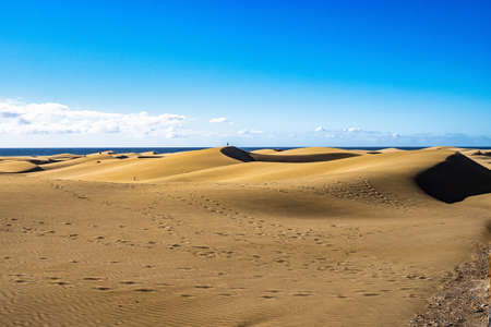 Maspalomas Sand Dunes, Dunas de Maspalomas on the south coast of the island of Gran Canaria, Canary Islands, Spainの写真素材