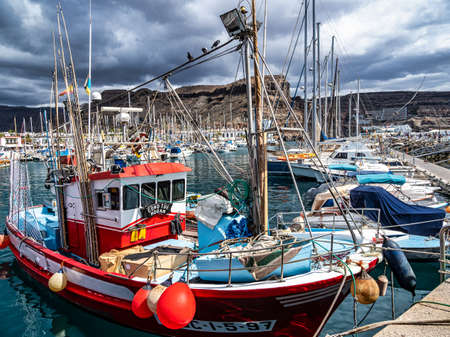 Colorful canarian fishing boats at the harbor in Puerto de Mogan, Gran Canaria, Canary Islands, Spain in Europeの写真素材