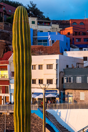 Puerto de Sardina - traditional fishing village in Grand Canary. Canary islands of Spainの写真素材