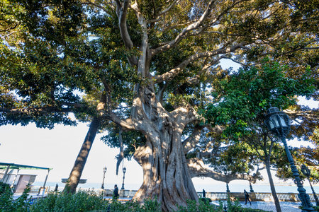 Cadiz, Spain - Nov 16, 2022: Alameda de Apodaca, a public park and an example of the eclectic style...