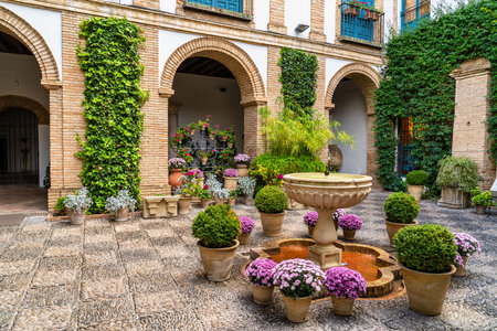 Cordoba, Spain - November 03, 2022: Courtyard garden of Viana Palace in Cordoba, Andalusia. Built in XV century. Viana Palace is a tourist attraction known for its 12 magnificent patios and gardens.のeditorial素材