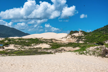 Joaquina beach with stone and dunes in Florianopolis, Santa Catarina, Brasil. Praia da Joaquina is a beach in Florianopolis.の写真素材