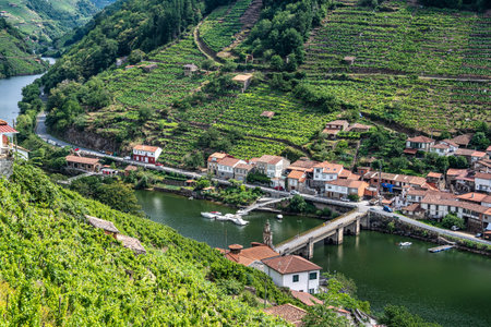 Beautiful view of Canyon del Sil from Belesar at Parada de Sil in Galicia, Spain, Europeの写真素材