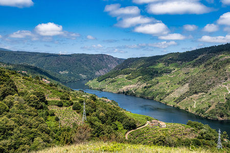 Beautiful view of Canyon del Sil from Cristosende at Parada de Sil in Galicia, Spain, Europeの写真素材