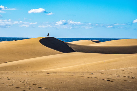 Gran Canaria, Spain - Feb 15, 2023: Maspalomas Sand Dunes, Dunas de Maspalomas on the south coast of the island of Gran Canaria, Canary Islands, Spainのeditorial素材