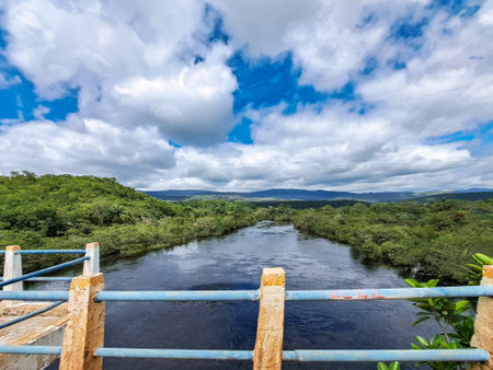 Canoe tour on the Pantanal Marimbus, waters of many rivers and abundant vegetation, in Andarai, Bahia, Brazil in the Chapada Diamantinaの写真素材