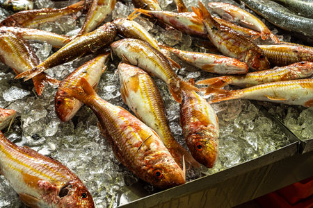 The fish and grocery market in the Markethall of Loule in the Algarve in the south of Portugal in Europe.の写真素材