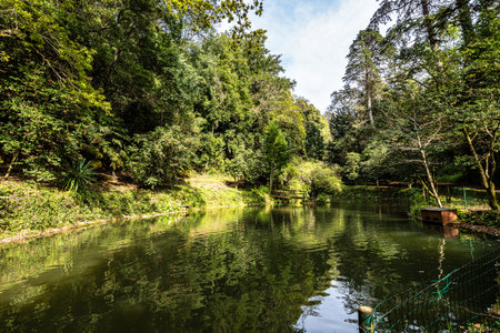 Big Lake, grande lago in ancient forest of Bussaco National Forest, in Luso, Aveiro in Portugal,...