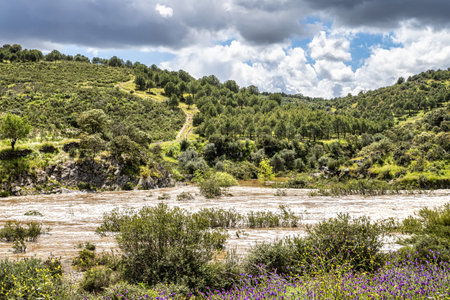 Hiking along the river Vascao located near Gioes in the Algarve region in Portugal, Europe.