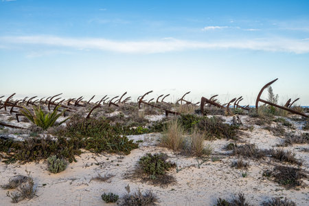 Rusty old anchors on the beach at the Anchor Cemetary graveyard at Praia do Barril beach at Tavira,...