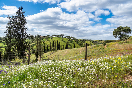 Beautiful landscape with wildflower meadows, rivers and waterfalls near Mertola, Portugal, Alentejoの写真素材