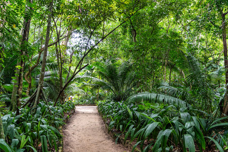 Paraense Museum Emilio Goeldi at Belem, Brazil. A Research Institute and Museum in the Heart of the city with Fauna and Flora from Brazilian Amazonの写真素材