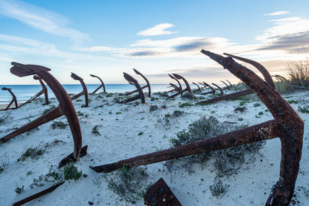 Rusty old anchors on the beach at the Anchor Cemetary graveyard at Praia do Barril beach at Tavira,...