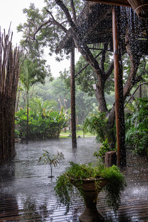 Heavy rain in a shelter in Jericoacoara Brazilの写真素材