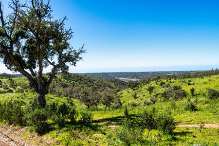 Walking from Troviscais to the River Mira flowing into the Atlantic Ocean, Troviscais, Vicentine Coast Natural Park Portugal, Rota Vicentina Coast. The Fisherman Trailの写真素材