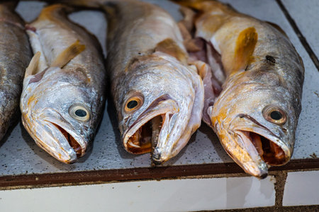 Fish and food market, Mercado Municipal at Soure in the Marajo Island at Para, Brazil. This is a Brazilian coastal island located in the state of Para, in the Marajo archipelago.の写真素材