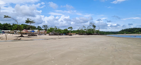 Barra velha beach at Soure, Marajo in Para, Brazil. Beautiful natural landscape of beach and mangrove trees with their great crooked roots and exposed in Barra Velha beach.の写真素材