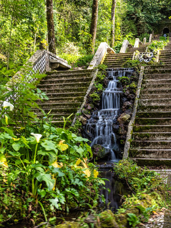 Famous water stairway Fonte Fria in the magical ancient forest of Bussaco in Luso, Aveiro in Portugal, fairy tale enchanted green treesの写真素材