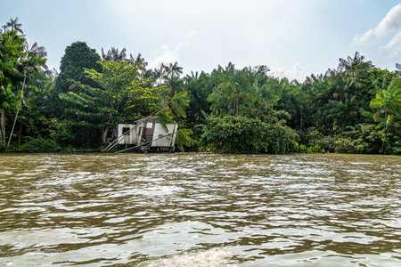 River boat tour on the Guama River at Belem do Para, a city on the northern area of Brazil. Naturalistic green area by Amazon Forest.の写真素材