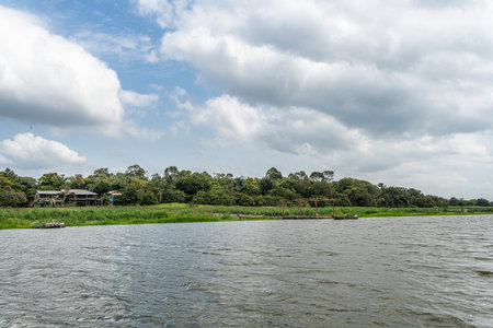 Boot trip on the Jari Canal at Alter do Chao, Santarem District, Para State, Brazil. Natural landscape of flooded areas of the Jari Canal, in an Amazon and Tapajos Riverの写真素材
