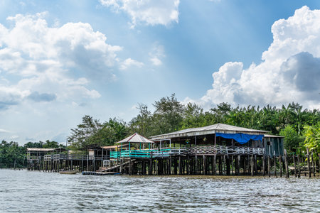 River boat tour on the Guama River at Belem do Para, a city on the north area of Brazil. Naturalistic green area by amazon forest.の写真素材