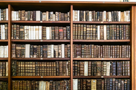 The Johannine Library, Biblioteca Joanina is a Baroque library situated in the heights of the historic centre of the University of Coimbra, Portugalの写真素材