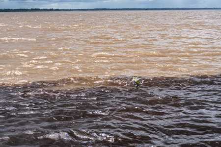 The Meeting of Waters, Encontro das Aguas in Manaus, Brazil is the confluence between the Rio Negro, a river with dark almost black colored water, and the sandy-colored Amazon River or Rio Solimoes.の写真素材