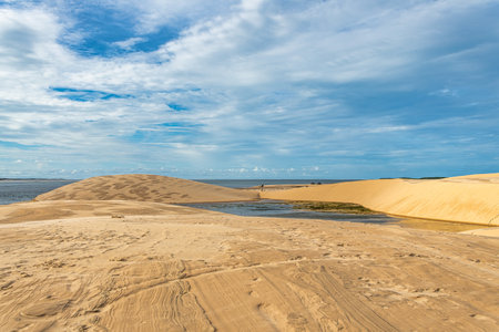 Dunas do Mouro at Ilha do Caju, Ilha das Canarias, Brazil. Delta do Parnaiba and Delta das Americas. Lush nature and sand dunes.の写真素材