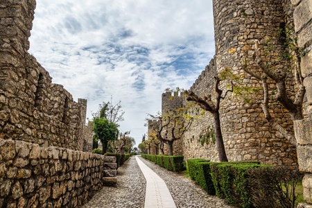 The imposing castle of the village of Montemor-o-Velho in Portugal is the main fortress of the Baixo Mondego in medieval timesの写真素材