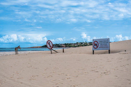 Jericoacoara beach hidden behind the dunes of the west coast of Jijoca de Jericoacoara, Ceara in Brazilの写真素材