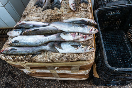Fish and food market, Mercado Municipal at Soure in the Marajo Island at Para, Brazil. This is a...