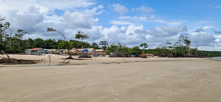 Barra velha beach at Soure, Marajo in Para, Brazil. Beautiful natural landscape of beach and...