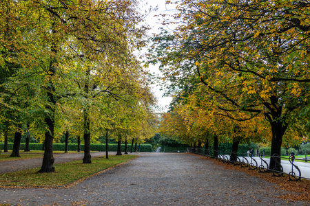 Walking in Hofgarten Park in Munich on an autumn day, Germany in Europeの写真素材