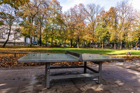 Golden autumn view at Konigsplatz - Kings Square, state capital Munich - Bavaria - Munich, Germanyの写真素材