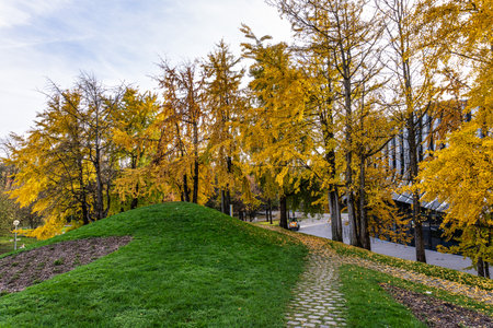 Golden autumn view in the Olympiapark in Munich, Germany. This is an Olympic Park which was constructed for the 1972 Summer Olympics in Munichの写真素材