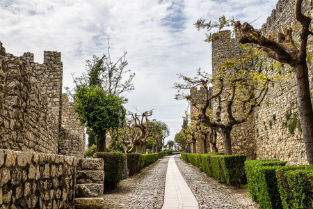 The imposing castle of the village of Montemor-o-Velho in Portugal is the main fortress of the Baixo Mondego in medieval timesの写真素材
