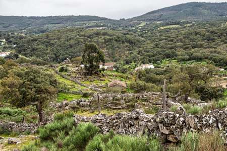 Hiking a walking route at Portalegre in Portugal. Percurso Pedestre de Galegosの写真素材