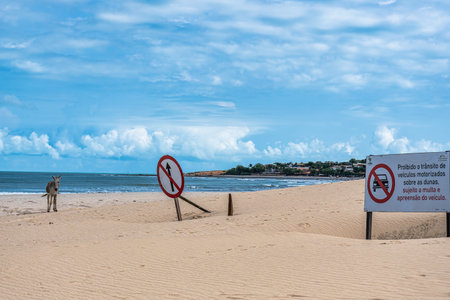 Jericoacoara beach hidden behind the dunes of the west coast of Jijoca de Jericoacoara, Ceara in Brazilの写真素材