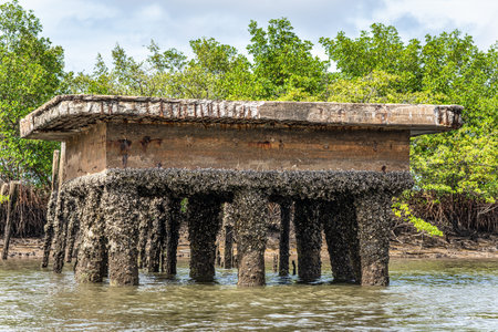 Boat trip on the Preguica River from Tutoia, Delta das Americas to Ilha das Canarias, Brazil. South Americaの写真素材