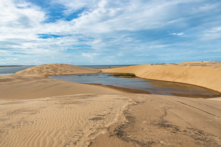 Dunas do Mouro at Ilha do Caju, Ilha das Canarias, Brazil. Delta do Parnaiba and Delta das Americas. Lush nature and sand dunes.の写真素材
