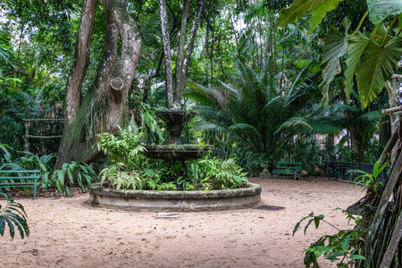 Paraense Museum Emilio Goeldi at Belem, Brazil. A Research Institute and Museum in the Heart of the city with Fauna and Flora from Brazilian Amazonの写真素材