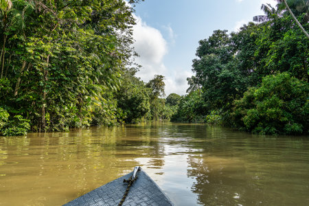 River boat tour on the Guama River at Belem do Para, a city on the north area of Brazil....