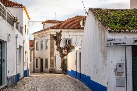 Traditional white houses with blue stripes in the streets of Ericeira in Portugal, Europeの写真素材