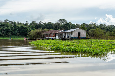 Manaus, Brazil - Jan 08, 2026: River boat trip at Parana do Mamori in the Amazon rainforest about...