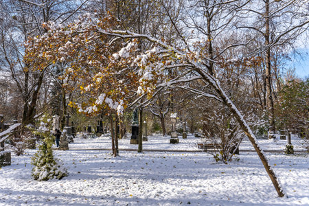 Munich, Germany - Nov 22, 2025: Winter view of Old North Cemetery of Munich, Germany with historic gravestones. Funerals have not been held here since 1944. Instead, the cemetery is used as a park.のeditorial素材