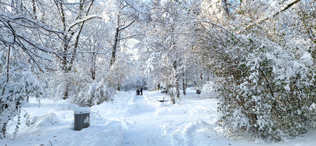 Munich, Germany - Dec 03, 2025: Winter view of famous Old North Cemetery of Munich, Germany with historic gravestones. Funerals have not been held here since 1944. Instead it is used as a park.のeditorial素材
