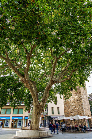 Llanca, Spain - Oct 29, 2025: Placa de la Vila, town square of Llanca, a small traditional village of province of Girona on the Costa Brava in Spain, Europeのeditorial素材
